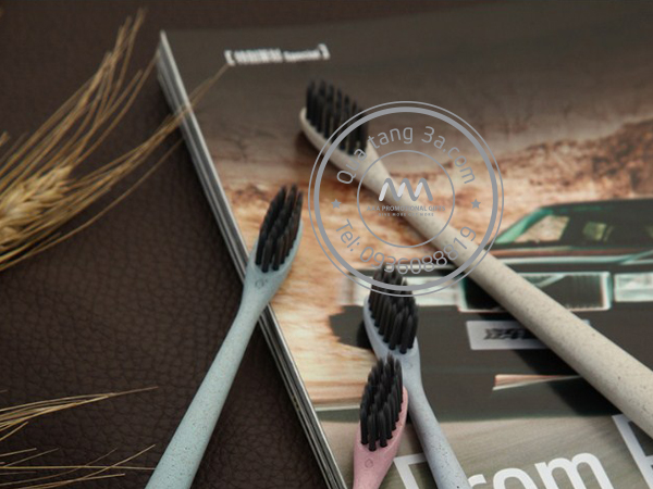 Bàn chải lúa mạch đánh răng Levant thân thiện môi trường 10 bàn chải đánh răng - quà tặng thân thiện môi trường