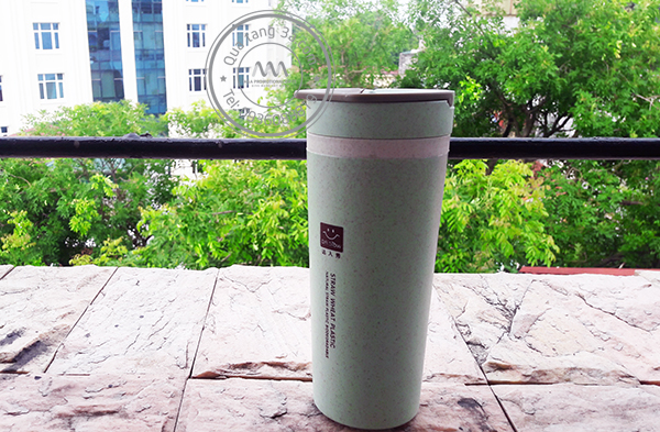 Quà tặng doanh nghiệp Bình nước in logo mẫu 2 8 Bình lúa mạch