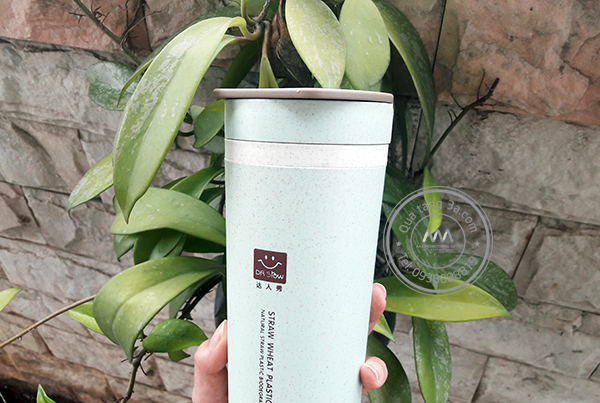 Quà tặng doanh nghiệp Bình nước in logo mẫu 2 9 Bình lúa mạch