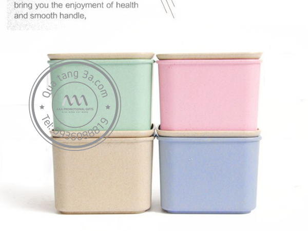 Hộp lúa mạch Levant thân thiện môi trường 10 hộp đựng thực phẩm thân thiện môi trường