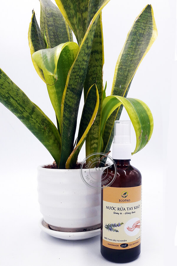 Quà tặng doanh nghiệp Nước rửa tay khô in logo mẫu 1 12 nuoc-rua-tay-kho-chong-virus-corona