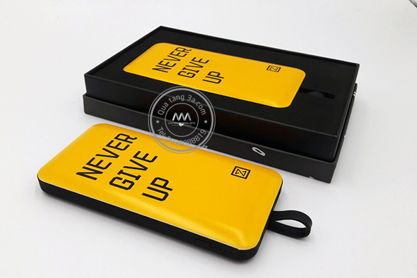 pin-sac-du-phong-in-logo