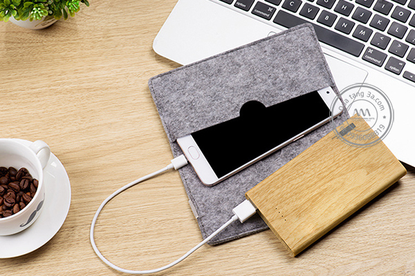 pin-sac-du-phong-qua tang