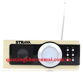 Đài FM vỏ gỗ