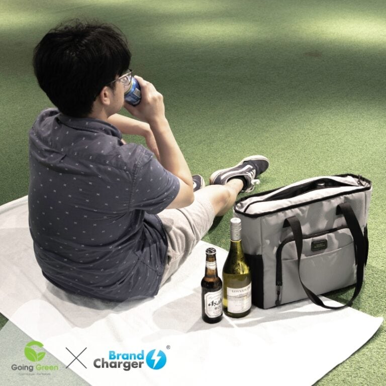 Túi giữ nhiệt POLAR - túi tote từ nhựa PET tái chế 11 115